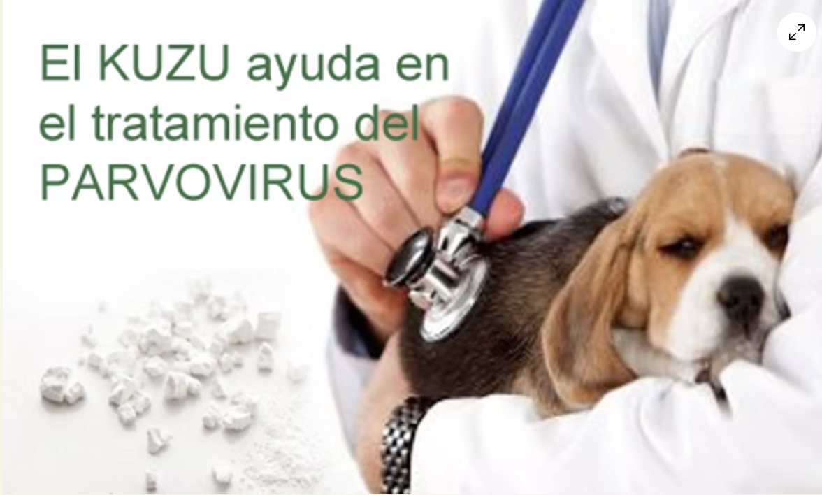 El Kuzu en el tratamiento de la parvovirosis.