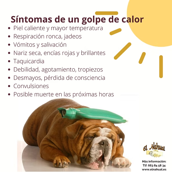 golpe calor