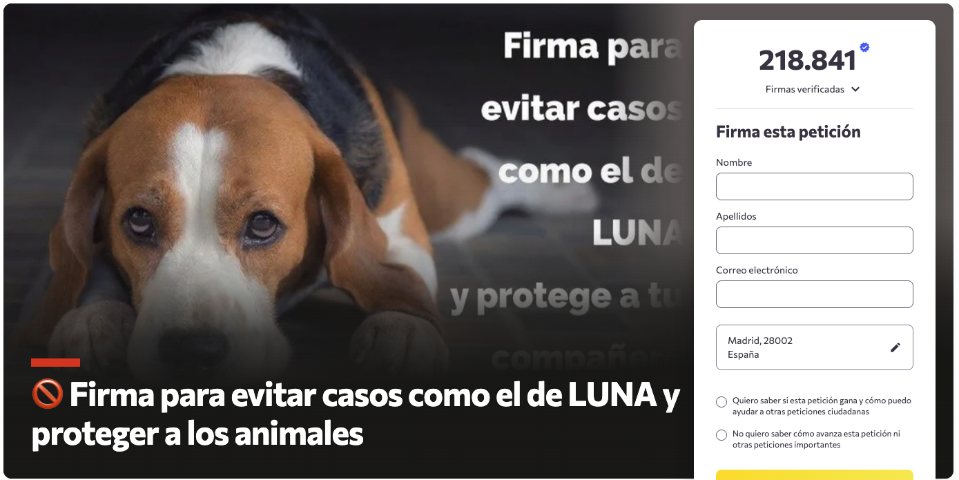 real decreto