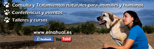 EL NAHUAL – Terapias Naturales para toda la familia: animales y humanos