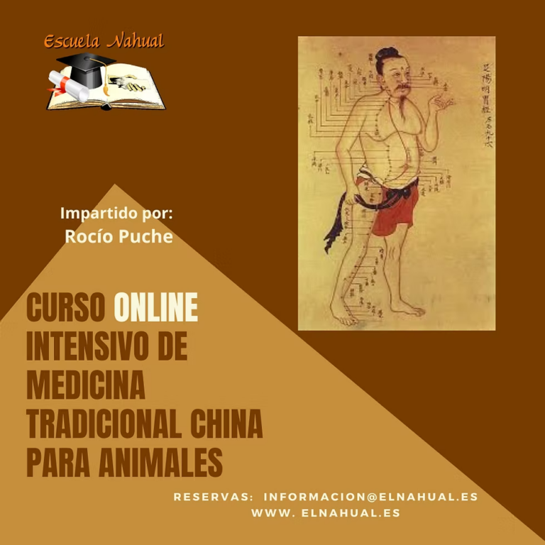 CURSO ONLINE INTENSIVO DE MEDICINA tradicional CHINA PARA ANIMALES