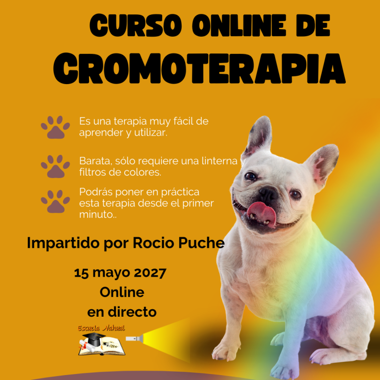 CURSO ONLINE  DE CROMOTERAPIA