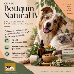 Cartel curso botiquín IV