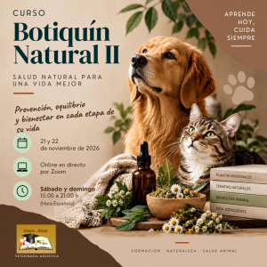 Cartes curso botiquín 2